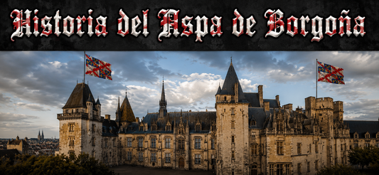 Historia completa de la bandera del Aspa de Borgoña y demás contextos relacionados